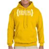 Adult Heavy Blend™ Hooded Sweatshirt Thumbnail